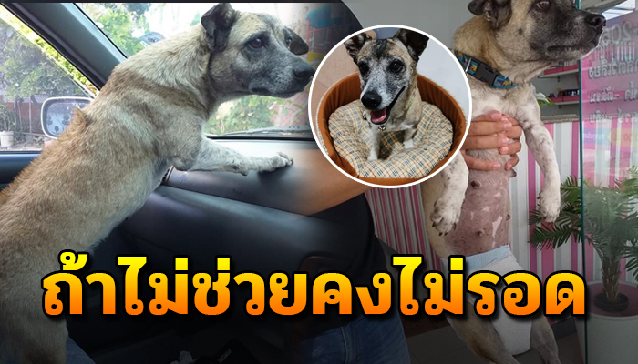 ถ้าไม่ช่วยในวันนั้น คงไม่รอด หลังถูกกระทำติดต่อมานับเดือน