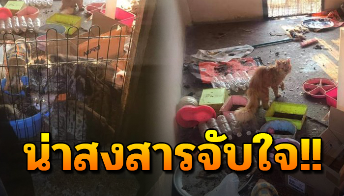 ถูกเขาขังไว้นับเดือนจนมีกลิ่น อดอยากไม่มีกิน ยังเฝ้ารอแม้ไม่เห็นหน้าพ่ออีกเลย