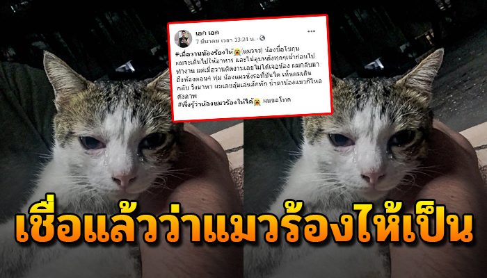 ร้องไห้น้ำตานองหน้า หลังเคยเล่นด้วยอยู่ไม่กี่ครั้งแต่นั่นกลับทำให้น้องเฝ้ารอ