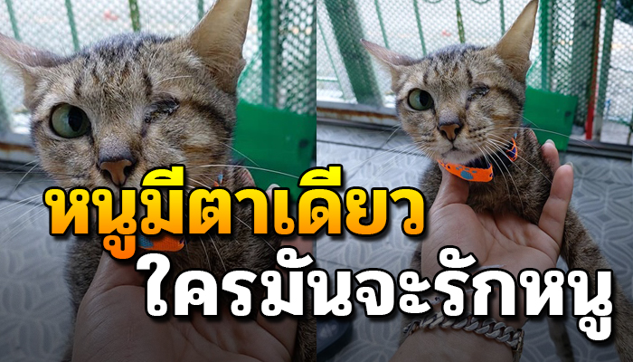 ชีวิตไร้คนสนใจ เพราะเกิดเป็นจรมีตาเพียงหนึ่งข้าง ใช้ชีวิตลำพัง ไม่มีใครสนใจ