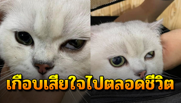 พาลูกไปอาบน้ำรพ.สัตว์พอไปรับตาหรี่ ยังพูดดีเจ็บมาก่อนเกือบตาบอดยังเฝ้าโทษตัว