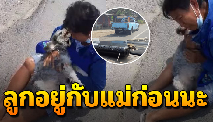 ขับรถผ่านเห็นอุ้มกอดไว้เอาแนบอกหลังตกจากรถ จุกอกแม้ไม่ใช่สุนัขของตัวยังใจสลาย