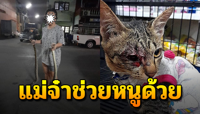 ส่งเสียงร้องขอให้แม่ช่วยที หลังงูบุกเข้ามาถึงบ้านสาวรีบคว้าน้องในขณะที่งูรัด