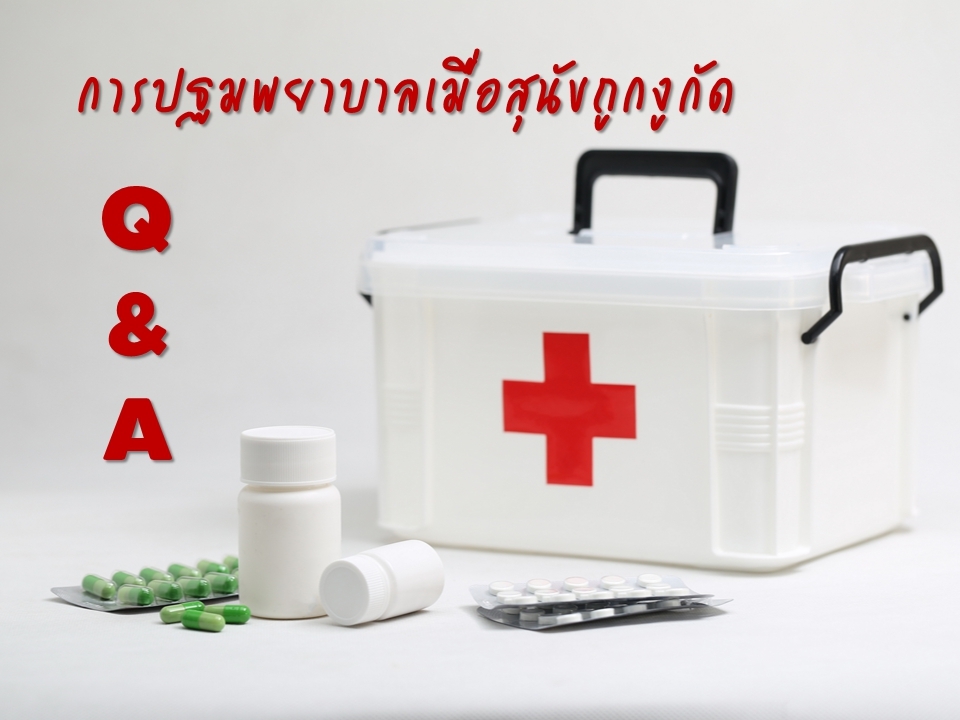 การปฐมพยาบาลเมื่อสุนัขถูกงูกัด