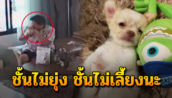 ชั้นไม่ขอยุ่ง ชั้นจะไม่เลี้ยง แต่เมื่อเวลาผ่านไปไม่ถึง 24 ชั่วโมง ก็เป็นแบบนี้