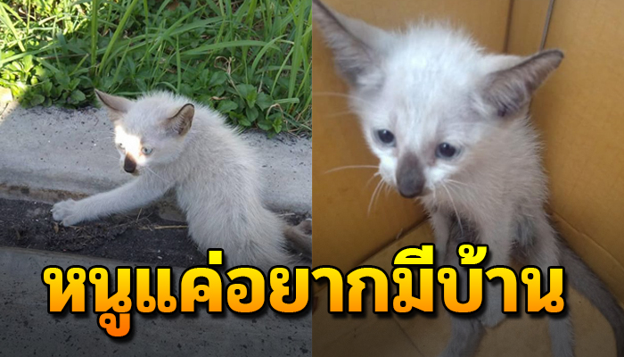 เดินขากะเผลก ลากสังขารไปตามทาง อยากมีชีวิตรอดต่อไป
