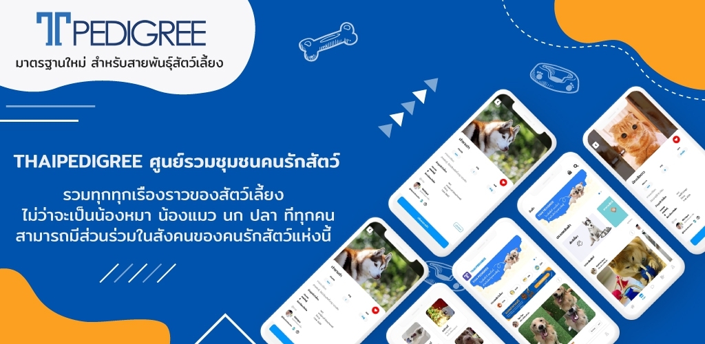 แพลตฟอร์มคนรักสัตว์ THAI PEDIGREE