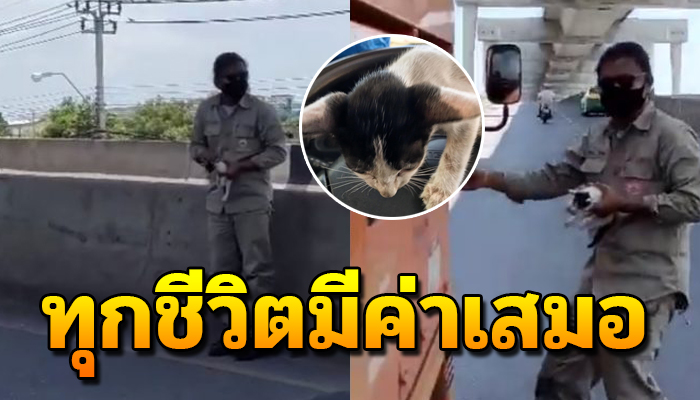 หนุ่มโพสต์ เห็นเจ้าเหมียวนอนอยู่ข้างถนน ปล่อยทิ้งไว้ไม่ได้ ต้องจอดรับไปด้วย