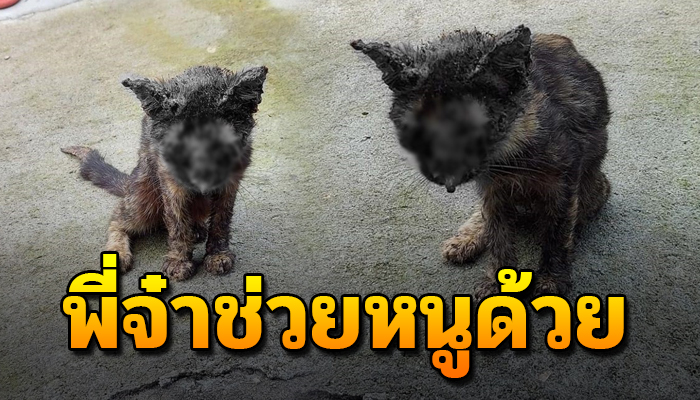 ชีวิตเดินเร่หลบแดดฝน ต้องทุกข์ทนเพราะเจ็บหนัก ไร้คนเห็นใจ ช่วยเหลือ