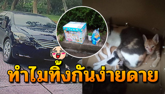 ทำกันได้ลง ขับรถวนในหมู่บ้านอยู่หลายรอบ แล้วเอากล่องใส่แมวแม่ลูก 5 ตัวมาทิ้งไว้
