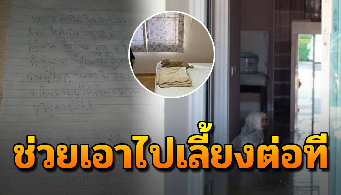เหลือไว้แค่ จม. ขอความช่วยเหลือดูแลน้องต่อ ตัวจากลาลับด้วยความท้อวานขอรับน้องไป