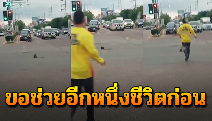 จอดติดไฟแดงเห็นขาติดฝาท่อระบายน้ำกลางถนน แม้รถวนผ่านไปมายังไร้คนจะช่วยเหลือ