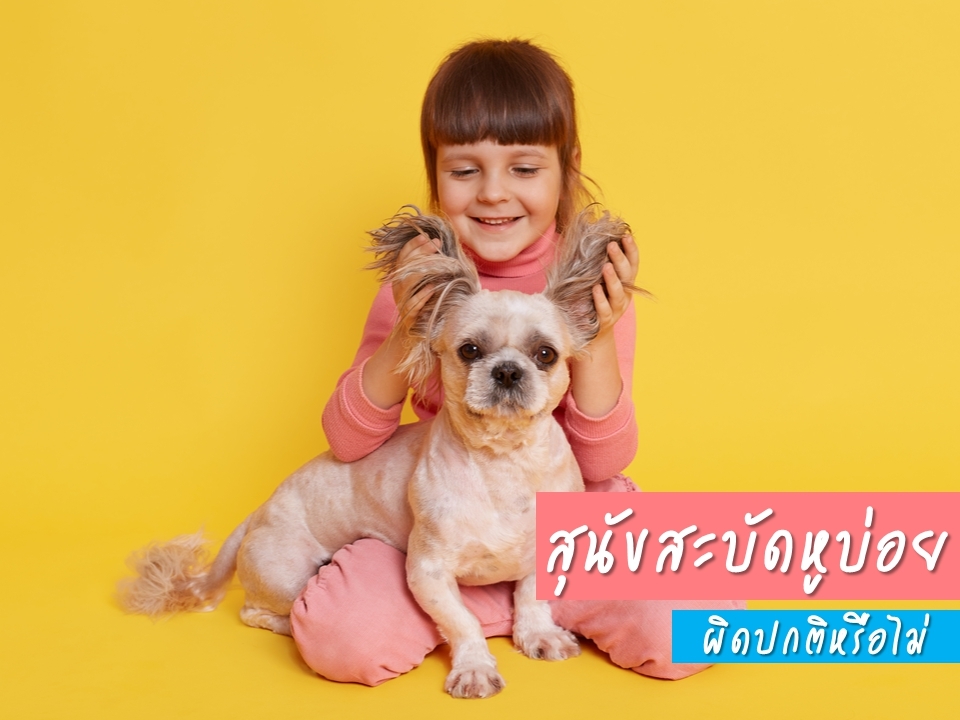 สุนัขสะบัดหูบ่อยผิดปกติหรือไม่ ?
