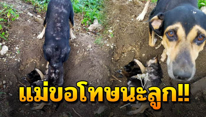 แม่ขอโทษนะลูก แม่จะทำทุกอย่างเพื่อลูก แม้จะเป็นครั้งสุดท้าย