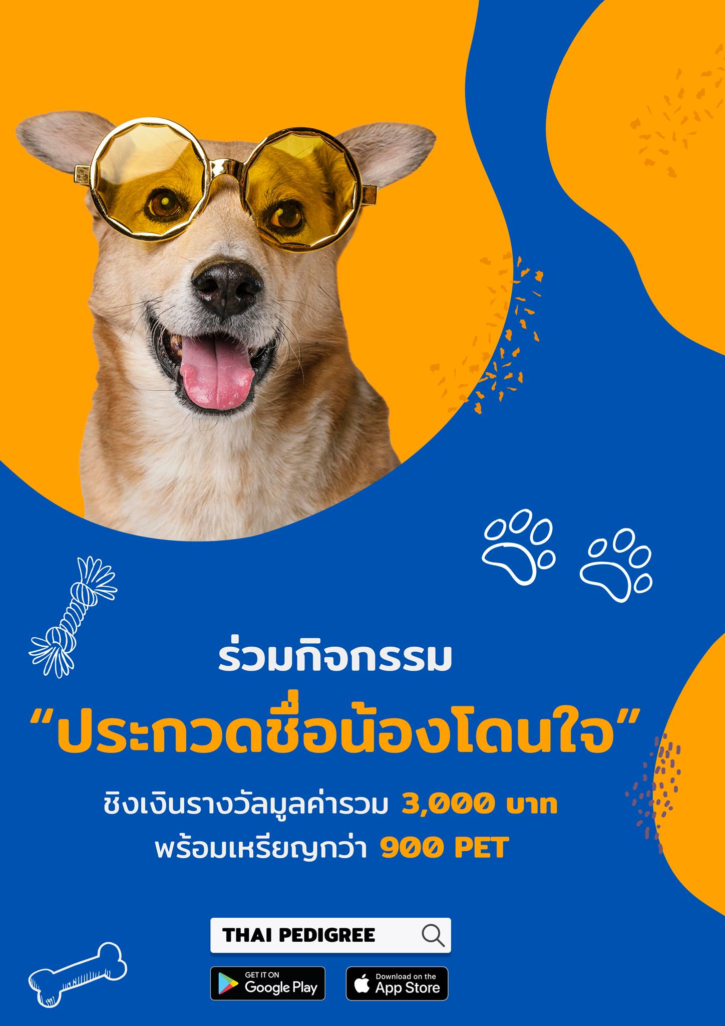 🎉 กิจกรรมประกวด ชื่อ น้องหมา น้องแมว 🎉