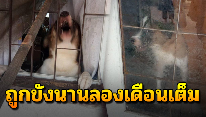 ถูกขัดนานร่วม 2 เดือน แถมยังญาติไม่รับกลับเอาไปเลี้ยง