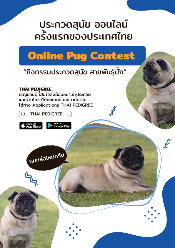 ประกวดน้องหมา ออนไลน์