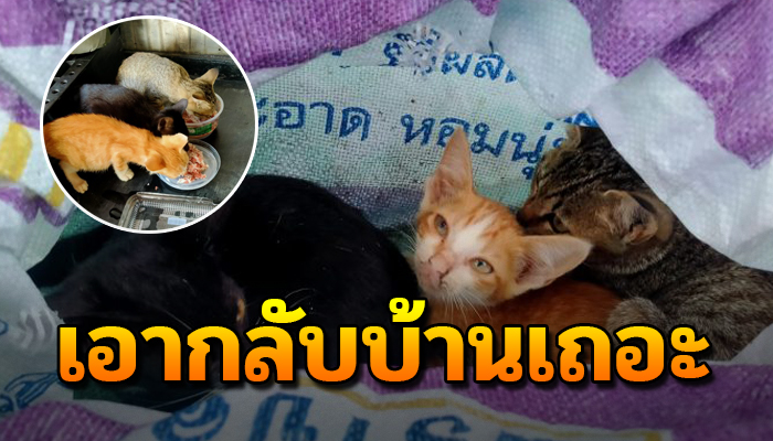 พ่อแม่ลูกขับรถไปส่งของปัตตานี นั่งริมทะเลหันไปเจอกระสอบขยับใจหาย