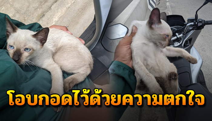 ตกจากรถกระเสือกกระสนคลานหนีเข้าริมถนน จอดลงไปช่วยเข้าโอบกอดจนตัวสั่น
