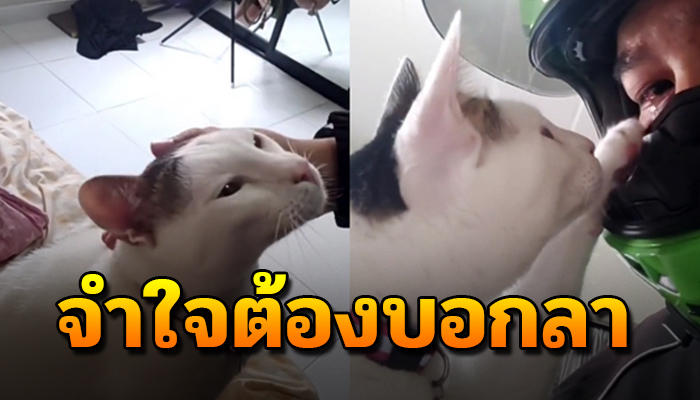จำใจต้องบอกลาลูกขอโทษทนอยู่ไม่ไหว แม้แทบขาดใจแม่เขาไม่ได้มีพ่อคนเดียว
