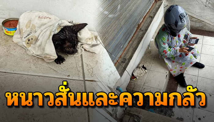 เกิดมาตัวดำไร้คนสนใจ ต้องนอนหนาวสั่นด้วยตัวลำพังกับชีวิตที่เลือกไม่ได้
