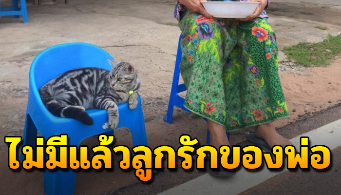 ไม่มีแล้วลูกรัก อาลัยลูกรักที่ต้องด่วนจากไปก่อนวัยอันควร เพียงเพราะสิ่งนี้