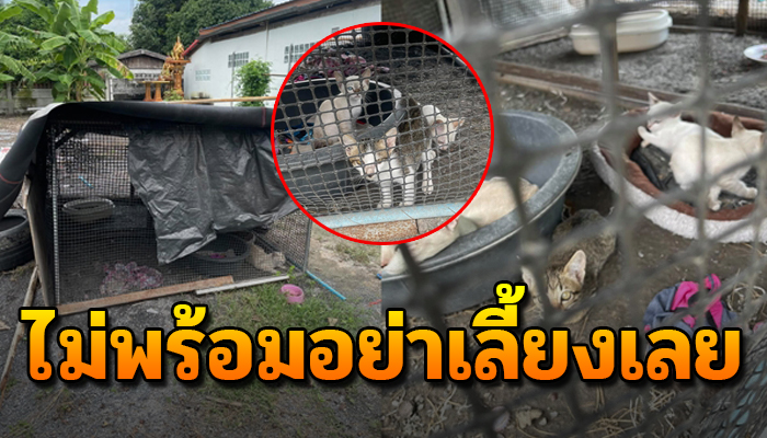 ไม่พร้อมอย่าเลี้ยงเลย ถูกเขาให้อยู่ในกรงมาทั้งชีวิต ไม่เคยแม้ได้ออกไปวิ่งเล่น