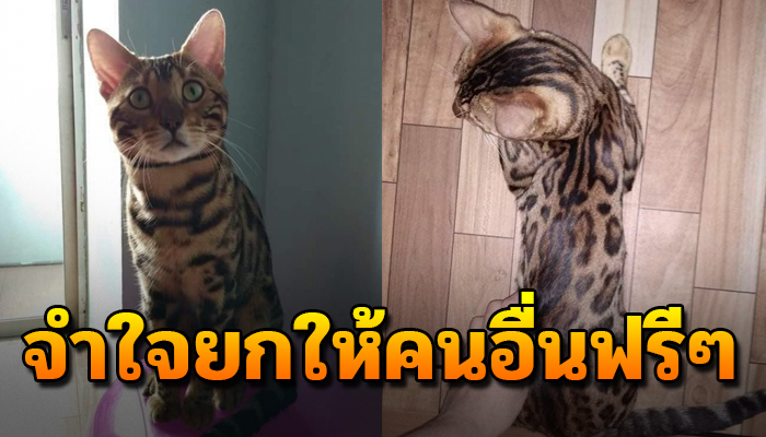 จำใจต้องหาบ้าน ให้ยกให้คนอื่นเขาไม่มีค่าใช้จ่าย เสียใจมากเลี้ยงต่อไม่ได้อีกแล้ว
