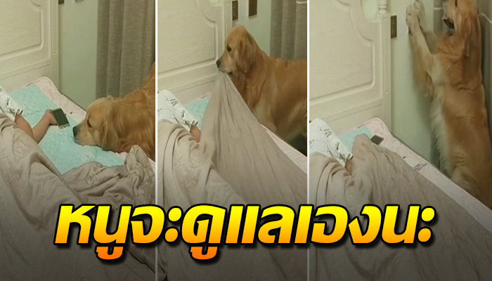 เจ้าตูบ คอยดูแลไม่ห่าง ในยามที่เธอเหนื่อย ช่วยห่มผ้าให้ตอนที่เผลอหลับ