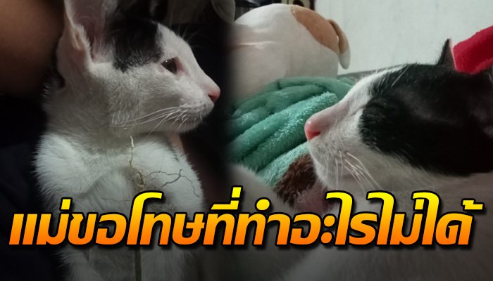 เล่าทั้งน้ำตาที่แม่ช่วยหนูไม่ได้ เป็นแค่เด็กไร้เงินพาไปหาหมอ ต้องให้น้องจากไป