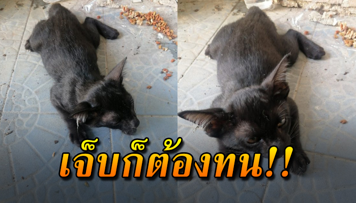 เดินเร่แบกสังขารลากขา ชีวิตไร้คนสนใจ หาข้าวน้ำประทังชีวิตแม้ต้องลากขาไปด้วย