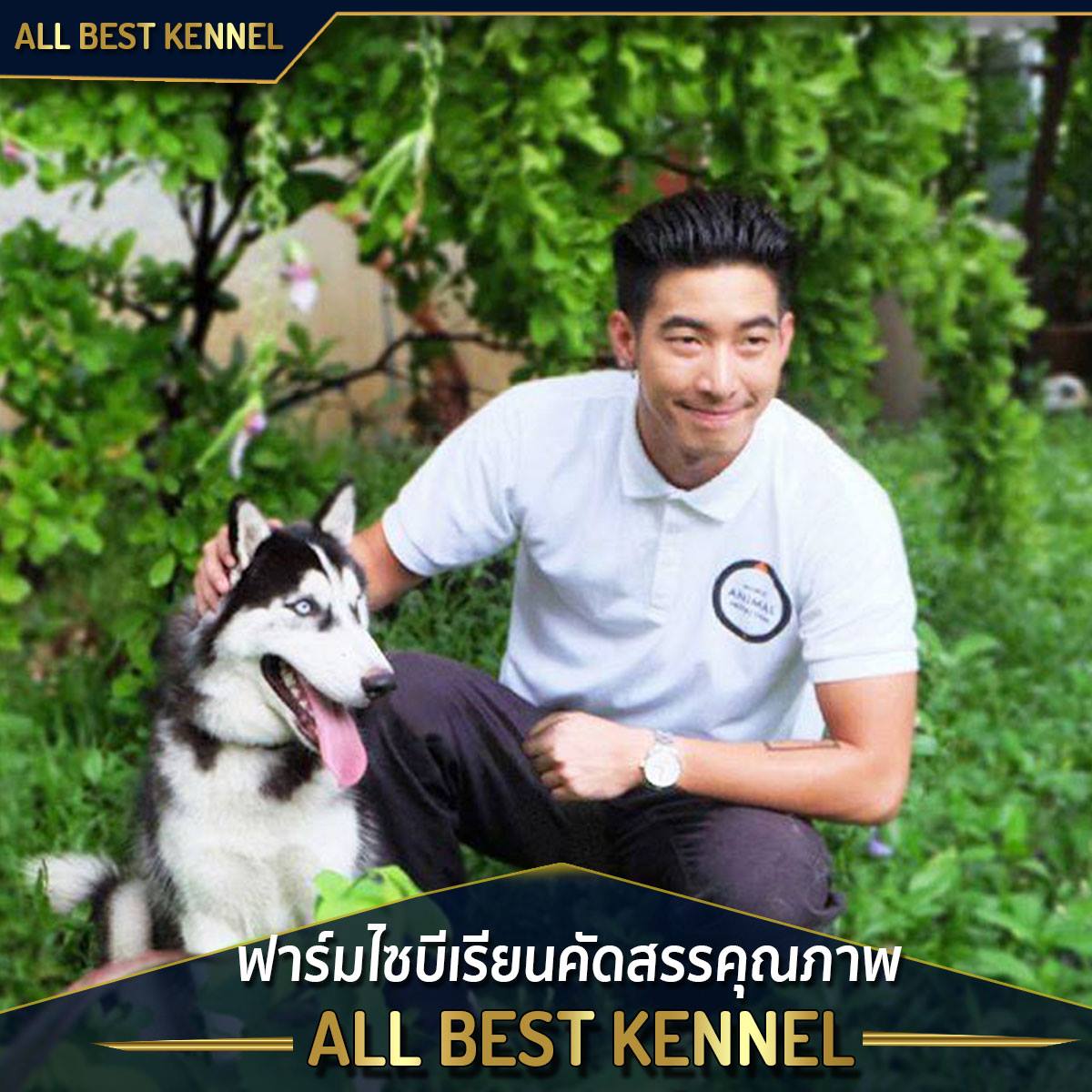 ไซบีเรียนพร้อมรับ คอกใหม่ๆ เกรดไฮเอน