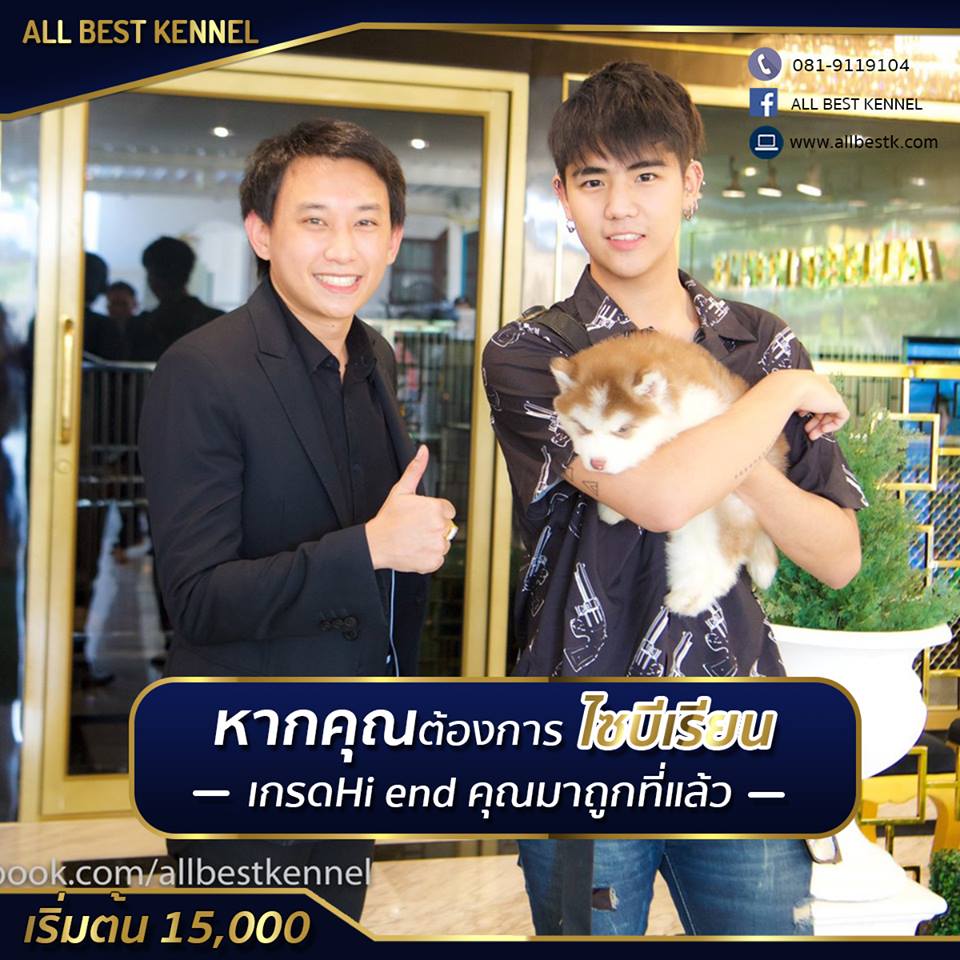 ไซบีเรียนพร้อมรับ คอกใหม่ๆ เกรดไฮเอน