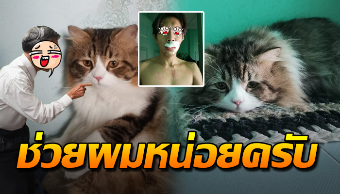 หนุ่มโพสต์ขอวิธีเปลี่ยนนิสัย หลังถูกลูกสุดที่รักฟัดจนปากเจ่อ