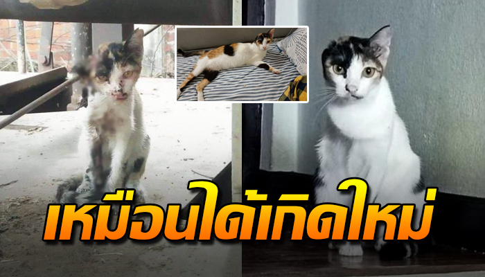 จากวันนั้นถึงวันนี้ ชีวิตเหมือนได้เกิดใหม่ หลังถูกรถไฟทับ