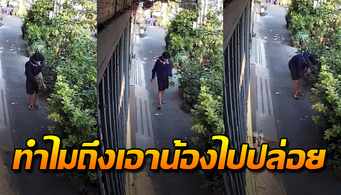 ถูกเขามาอุ้มพรากดวงใจไปจากอก ตัวระหกไปตามกลับเจอนั่งตัวสั่นแม้เห็นเจ้าของ