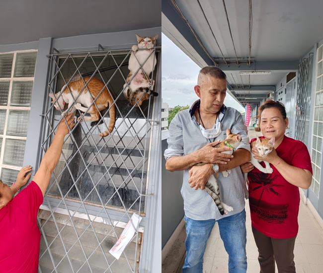 ร้อนใจมากเหมียวหายไป 3 ชม. สุดท้ายเจอในสภาพนี้ ทั้งขำทั้งสงสาร..นุดช่วยเราด้วย !