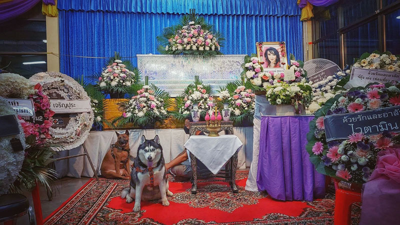 บีบหัวใจ.. พาสุนัขสุดรักมาลา ซันนี่ ยูโฟร์ ครั้งสุดท้ายในงานศพ
