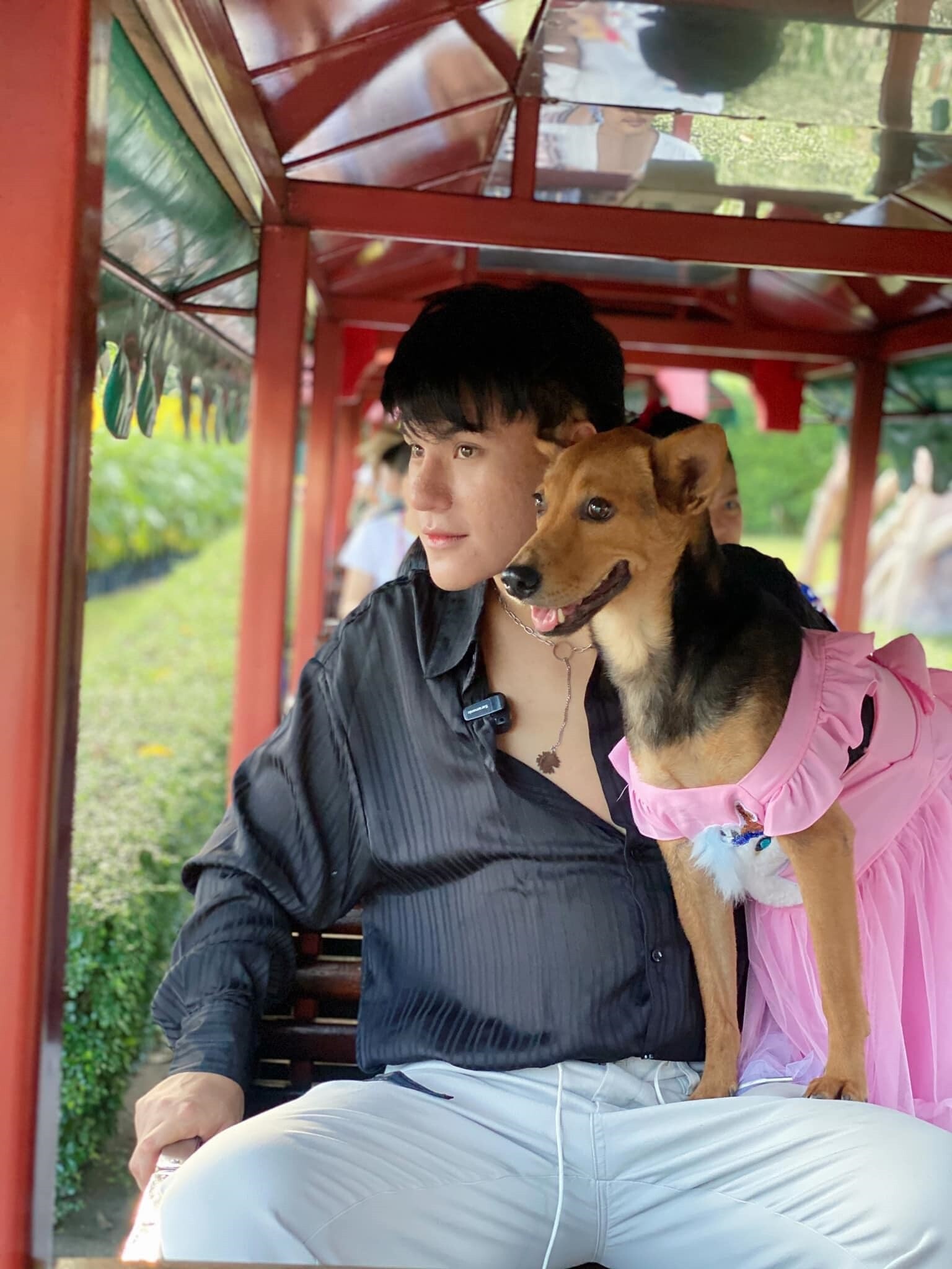บูม หมูทะ รับอาสาดูแลค่าใช้จ่าย 2 สุนัขสุดรักของ ซันนี่ ยูโฟร์ จนกว่าจะพบบ้านใหม