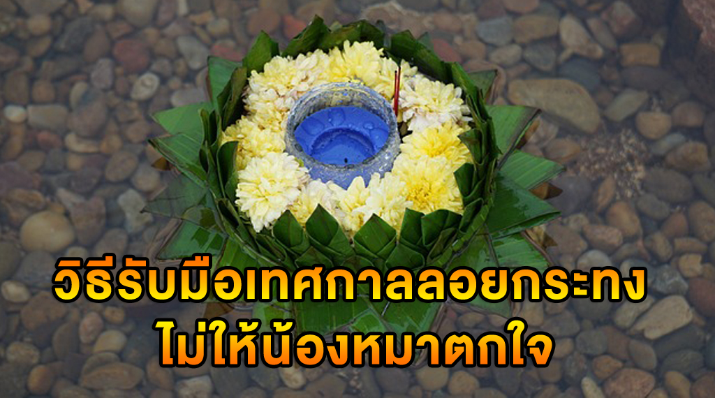 วิธีรับมือเทศกาลลอยกระทง อย่างไรไม่ให้น้องหมาตกใจเสียงพลุ ประทัดกัน